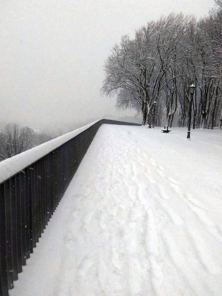 Estampas de todos los rincones de Navarra bajo el manto blanco caído el último día de febrero.