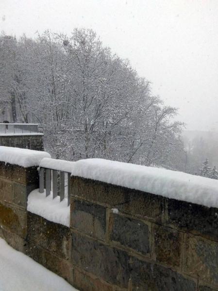 Estampas de todos los rincones de Navarra bajo el manto blanco caído el último día de febrero.