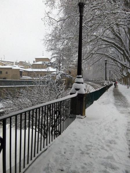 Estampas de todos los rincones de Navarra bajo el manto blanco caído el último día de febrero.