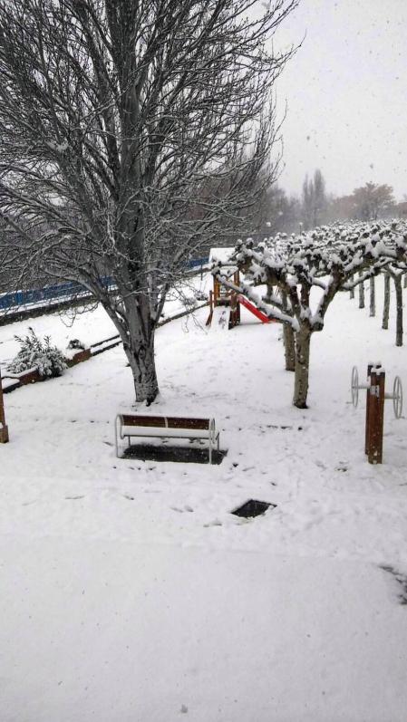 Estampas de todos los rincones de Navarra bajo el manto blanco caído el último día de febrero.