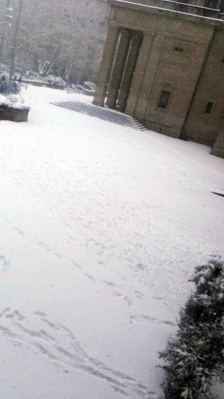 Estampas de todos los rincones de Navarra bajo el manto blanco caído el último día de febrero.