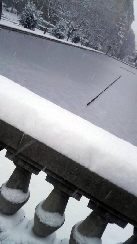 Estampas de todos los rincones de Navarra bajo el manto blanco caído el último día de febrero.