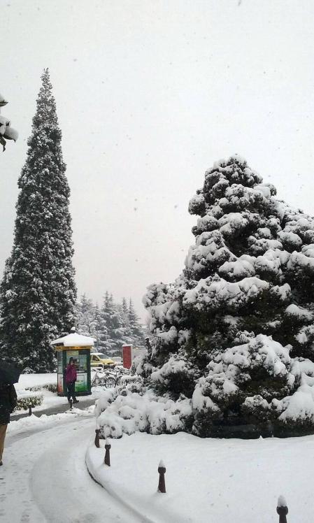 Estampas de todos los rincones de Navarra bajo el manto blanco caído el último día de febrero.