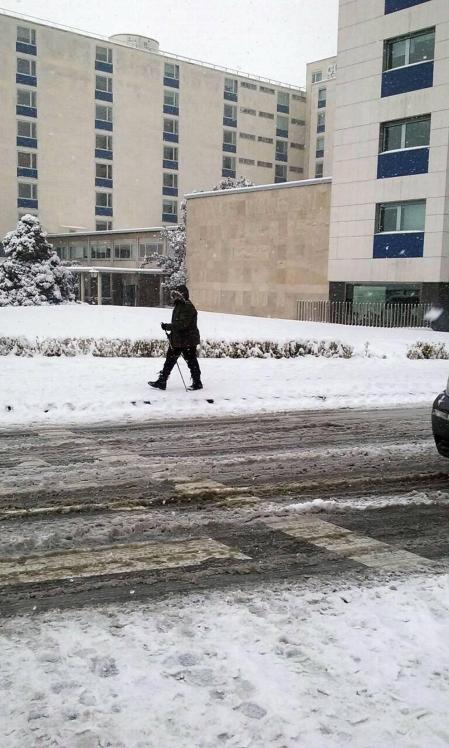 Estampas de todos los rincones de Navarra bajo el manto blanco caído el último día de febrero.
