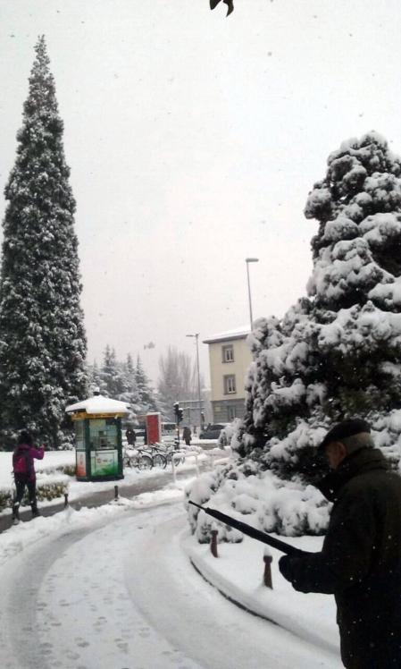Estampas de todos los rincones de Navarra bajo el manto blanco caído el último día de febrero.