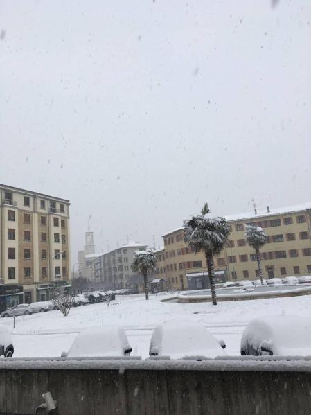 Estampas de todos los rincones de Navarra bajo el manto blanco caído el último día de febrero.