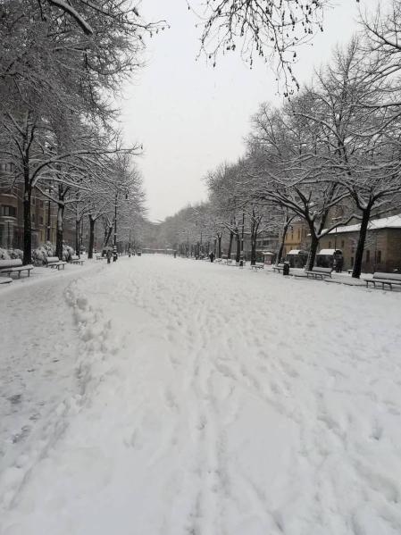Estampas de todos los rincones de Navarra bajo el manto blanco caído el último día de febrero.