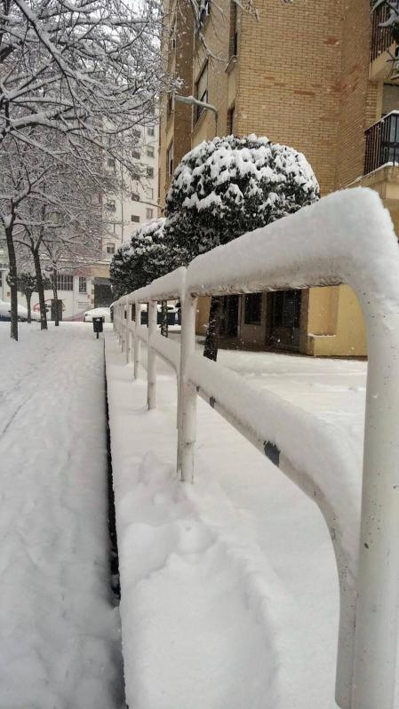 Estampas de todos los rincones de Navarra bajo el manto blanco caído el último día de febrero.