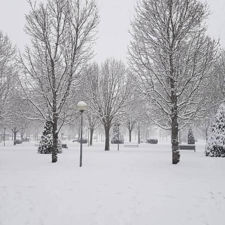 Estampas de todos los rincones de Navarra bajo el manto blanco caído el último día de febrero.