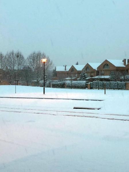 Estampas de todos los rincones de Navarra bajo el manto blanco caído el último día de febrero.