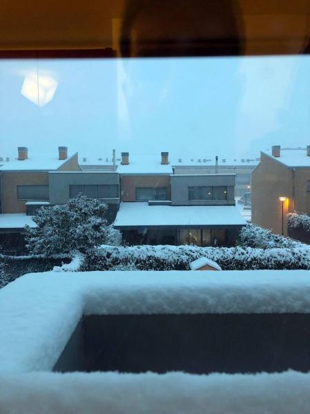 Estampas de todos los rincones de Navarra bajo el manto blanco caído el último día de febrero.