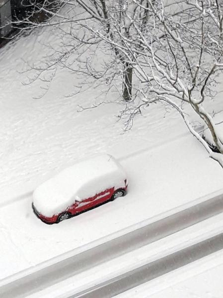 Estampas de todos los rincones de Navarra bajo el manto blanco caído el último día de febrero.