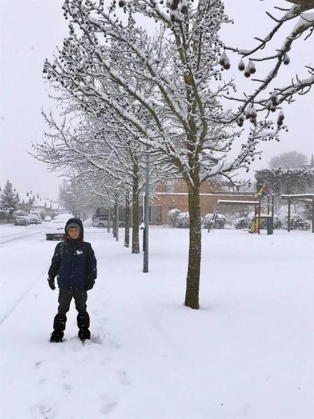 Estampas de todos los rincones de Navarra bajo el manto blanco caído el último día de febrero.