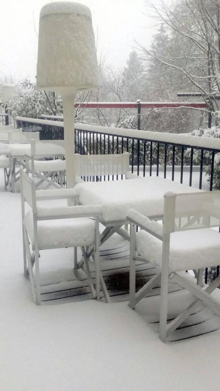 Estampas de todos los rincones de Navarra bajo el manto blanco caído el último día de febrero.