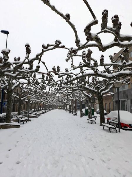 Estampas de todos los rincones de Navarra bajo el manto blanco caído el último día de febrero.