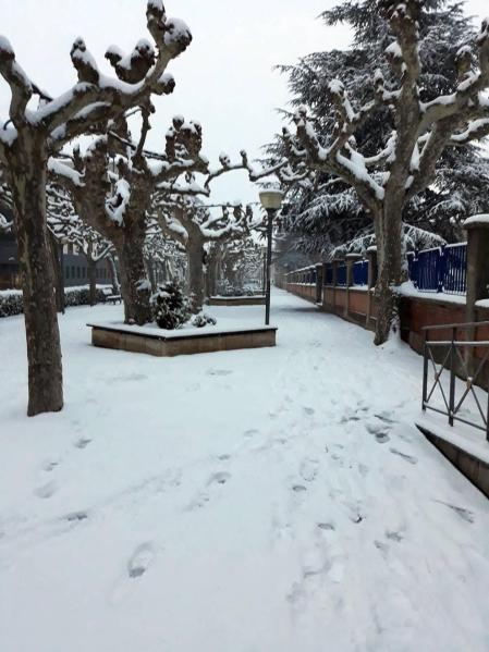 Estampas de todos los rincones de Navarra bajo el manto blanco caído el último día de febrero.