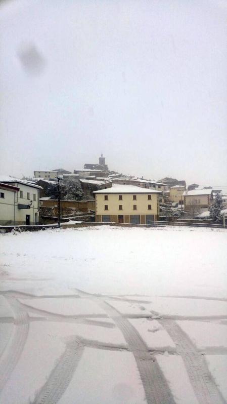 Estampas de todos los rincones de Navarra bajo el manto blanco caído el último día de febrero.