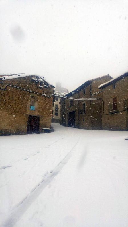 Estampas de todos los rincones de Navarra bajo el manto blanco caído el último día de febrero.