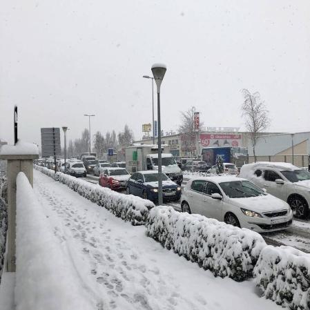 Estampas de todos los rincones de Navarra bajo el manto blanco caído el último día de febrero.