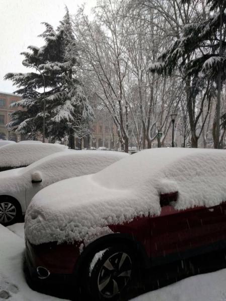 Estampas de todos los rincones de Navarra bajo el manto blanco caído el último día de febrero.