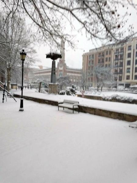 Estampas de todos los rincones de Navarra bajo el manto blanco caído el último día de febrero.