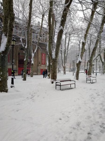 Estampas de todos los rincones de Navarra bajo el manto blanco caído el último día de febrero.