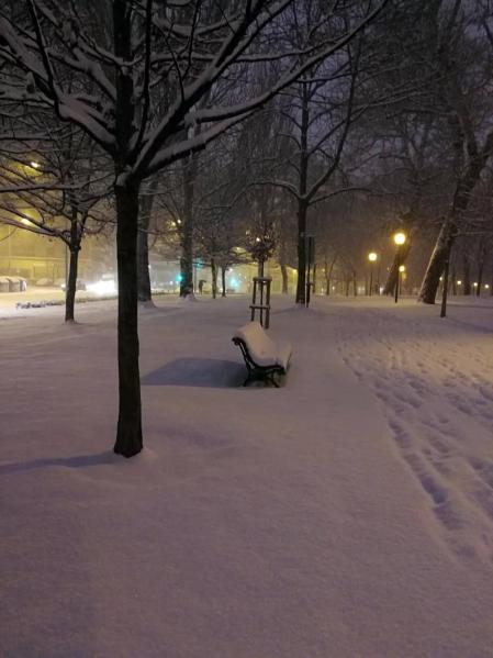 Estampas de todos los rincones de Navarra bajo el manto blanco caído el último día de febrero.