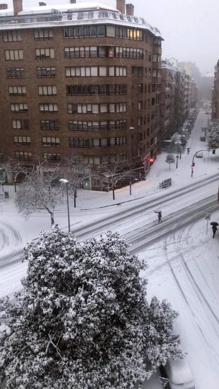 Estampas de todos los rincones de Navarra bajo el manto blanco caído el último día de febrero.