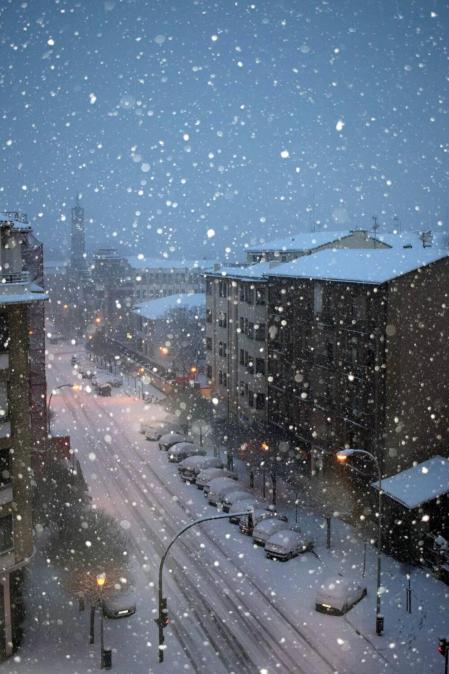 Estampas de todos los rincones de Navarra bajo el manto blanco caído el último día de febrero.