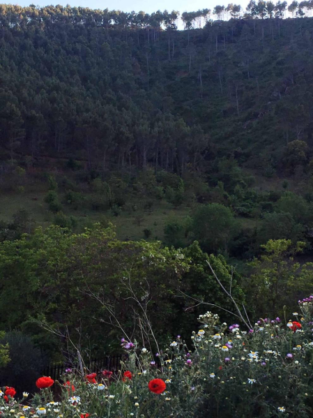 Envíanos la imagen por Whatsapp al número 687 04 00 98, indicando el lugar en el que están realizadas y el autor de las fotografías.