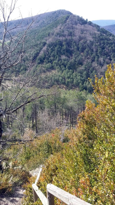 Envíanos la imagen por Whatsapp al número 687 04 00 98, indicando el lugar en el que están realizadas y el autor de las fotografías.