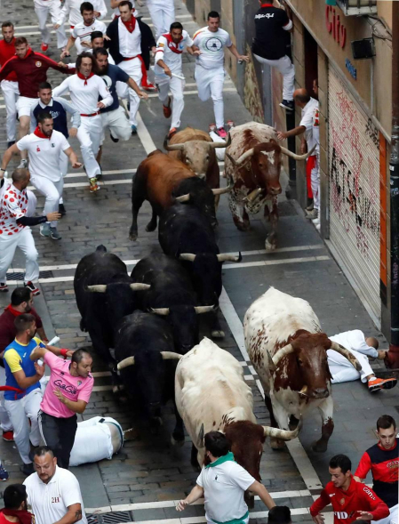 Imágenes del cuarto encierro de los Sanfermines 2018, con toros de la ganadería Fuente Ymbro.