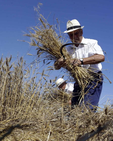 El Día del Mundo Rural en Miranda de Arga es una celebración que rinde homenaje a los oficios que hace medio siglo suponían la forma de vida de las gentes de la localidad.