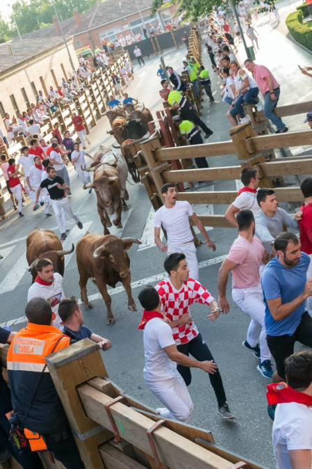 Fotos del encierro del cuarto día de las fiestas de Tudela, homenajes y pasacalles. 27 de julio de 2018