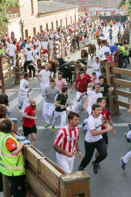 Fotos del encierro y la gigantada del quinto día de las fiestas de Tudela 2018, 28 de julio.