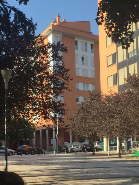 Imágenes del suceso de San Jorge, en el que un hombre ha matado a otro