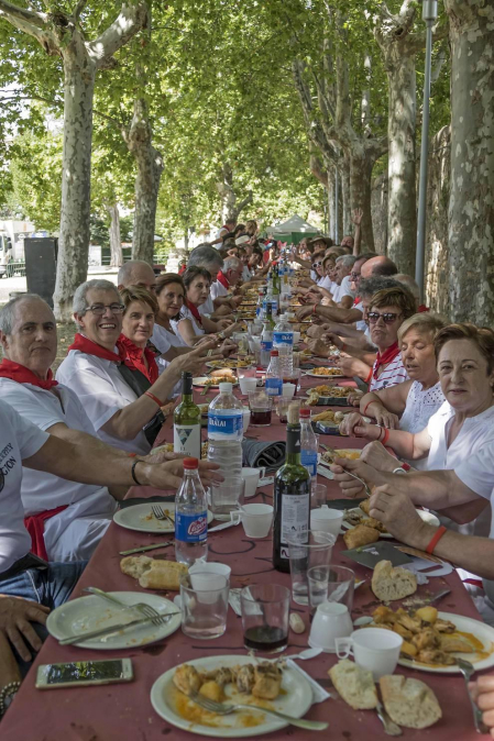 Imágenes de las Fiestas de Estella que comprenden: la verbena de plaza de los Fueros, homenaje a los mayores, bombada, Gorgorito, comidas de Quintos en el paseo de los Llanos, baile de la era y popurri estellés.