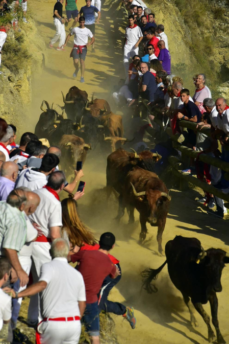 Fotos del segundo encierro del Pilón de Falces