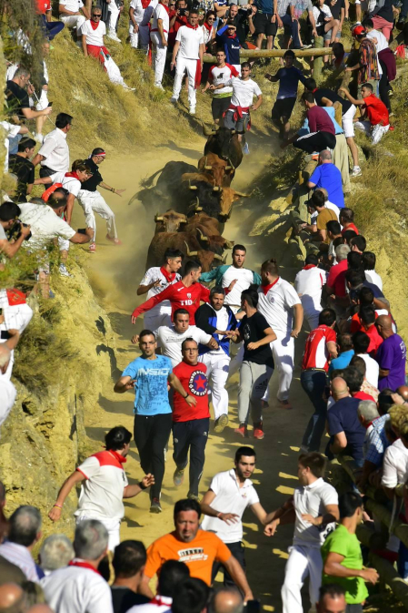 Fotos del segundo encierro del Pilón de Falces