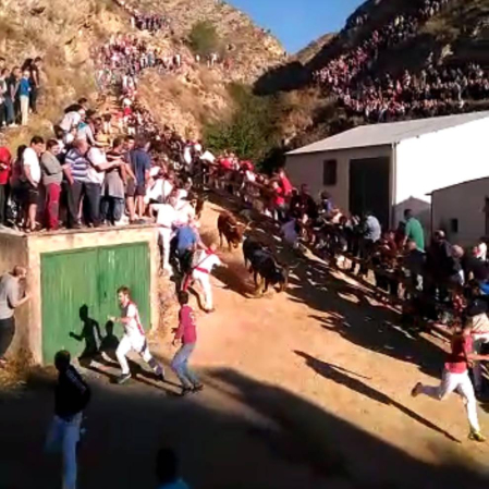 Cuarto encierro del Pilón de fiestas de Falces 2018, 15 de agosto
