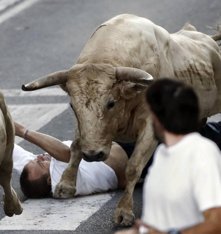 Las vacas de la ganadería Prieto de la Cal, de Huelva, han dejado dos trasladados al CHN, uno por dos cornadas en el muslo derecho.