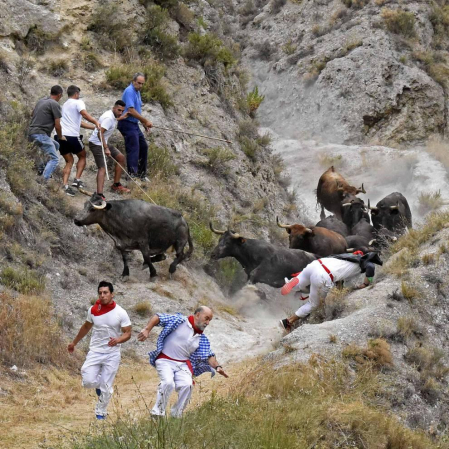 Quinto encierro del Pilón de fiestas de Falces 2018, 16 de agosto con la ganadería Adrián Domínguez, de Funes