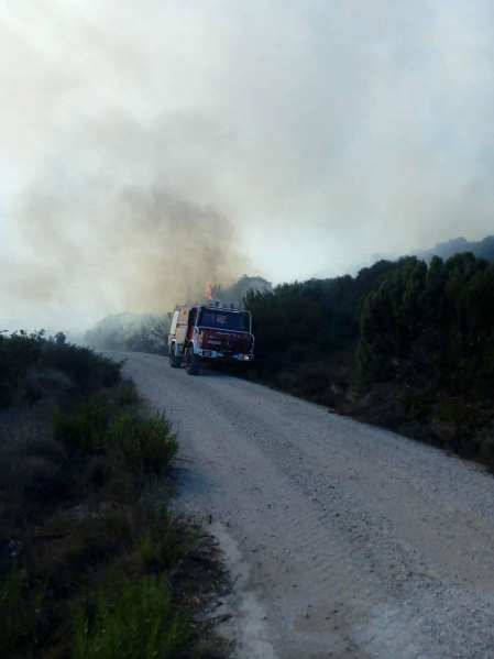 Bomberos forestales de los parques de Cordovilla, Tafalla y Estella y las dos Brigadas de Refuerzo en Incendios Forestales han acudido a la zona donde se ha extendido el fuego.