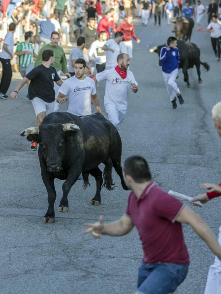 Encierro, música, danzas, aniversario y despedida en el sábado de fiestas de Sangüesa