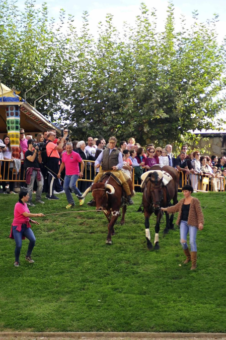 Fotos de la feria del caballo de Marcilla
