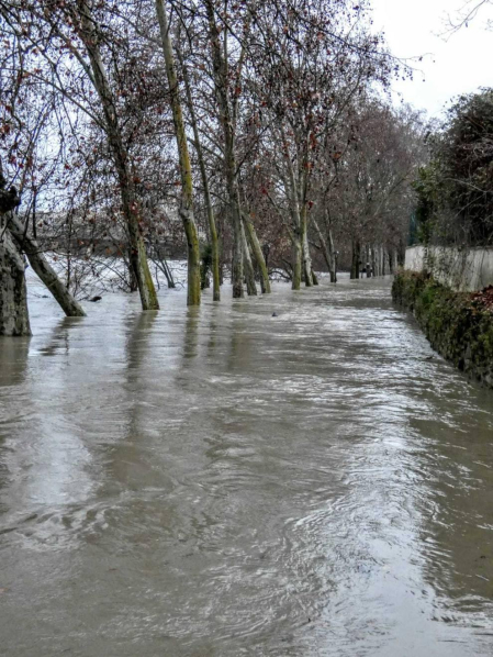Fotos del temporal en Navarra de los lectores