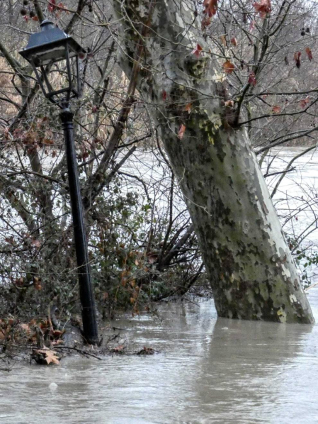 Fotos del temporal en Navarra de los lectores