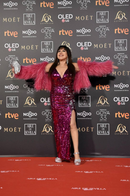 Los primeros invitados a la 33 ceremonia de los Premios Goya han comenzado a llegar a la alfombra roja del Palacio de Exposiciones y Congresos de Sevilla (FIBES) hacia las 18.20 horas de este sábado 2 de febrero