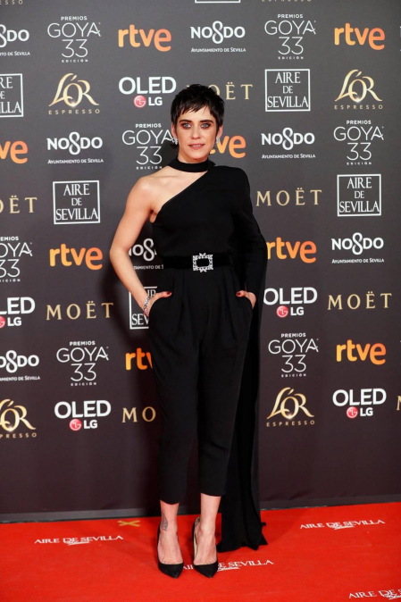 Los primeros invitados a la 33 ceremonia de los Premios Goya han comenzado a llegar a la alfombra roja del Palacio de Exposiciones y Congresos de Sevilla (FIBES) hacia las 18.20 horas de este sábado 2 de febrero