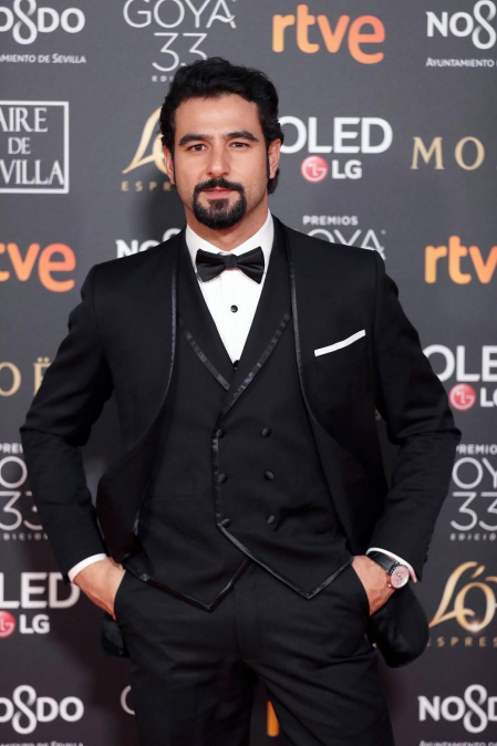Los primeros invitados a la 33 ceremonia de los Premios Goya han comenzado a llegar a la alfombra roja del Palacio de Exposiciones y Congresos de Sevilla (FIBES) hacia las 18.20 horas de este sábado 2 de febrero